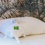 Ibis Styles Hotel 3*